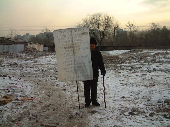 zalba1-web.jpg